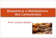 Prof. Luciene Rabelo Bioquímica e Metabolismo dos Carboidratos