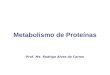 Metabolismo de Proteínas Prof. Ms. Rodrigo Alves do Carmo