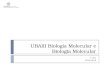 UBAIII Biologia Molecular e Biologia Molecular 1º Ano 2014/2015