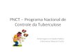 PNCT – Programa Nacional de Controle da Tuberculose Enfermagem em Saúde Pública Enfermeira Deborah Cecília