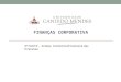 FINANÇAS CORPORATIVA 3ª PARTE - Analise Ecônomico/Financeira das Empresas