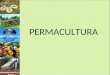 PERMACULTURA. O QUE É PERMACULTURA? Em poucas palavras, Permacultura é uma síntese das práticas agrícolas tradicionais com idéias inovadoras. Unindo o