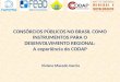 CONSÓRCIOS PÚBLICOS NO BRASIL COMO INSTRUMENTOS PARA O DESENVOLVIMENTO REGIONAL: A experiência do CODAP Viviane Macedo Garcia