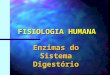 FISIOLOGIA HUMANA Enzimas do Sistema Digestório. Processos Químicos Envolve a participação de enzimas hidrolíticas
