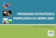1 PROGRAMA ESTRATÉGICO PAMPILHOSA DA SERRA 2020 Câmara Municipal de Pampilhosa da Serra