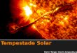 Karin Targas (karin.targas@usp.br). Fotosfera:Camada visível do sol Zona convectiva: a energia é dada pelo movimento das parcelas de gás Zona radiativa: