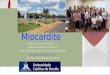 Miocardite Acadêmica: Josiane Duarte Internato Médico em Pediatria Profª Orientadora: Dra. Carmen Lívia FS Martins  Brasília, 24