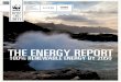WWF EnergyVisionReport