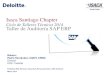 Taller Auditoría SAP ERP - Marzo 2014