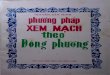 Phuong Phap Xem Mach Theo Dong Phuong Nguyen Van Minh