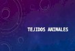 Tejidos Animales