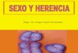 genetica: sexo y herencia mendeliana