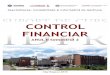 Suport Curs Control Financiar 2016