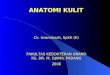 Anatomi Kulit - Slide