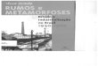 Rumos e Metamorfoses - Estado e industrialização no Brasil 1930-1960 capítulo 1
