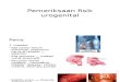 Pemeriksaan fisik urogenital.pptx