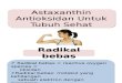 Astaxanthin Antioksidan Untuk Tubuh Sehat