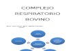 4. Complejo Respiratorio Bovino