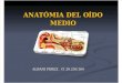 Anatomia Del Oido Medio Albani