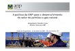 A política da ANP para o desenvolvimento da indústria de petróleo nacional