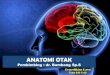 1. Anatomi Otak