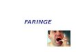 16) Faringe y Laringe