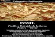 Tafonomía y fosilización