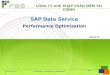 Performance Optimization in SAP DS - Huyhh