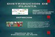 expo distribucion plantas.pptx