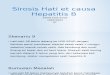 Sk9_Sirosis Hati et causa Hepatitis B.pptx