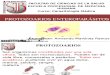 Protozoos Enteroparasitos i
