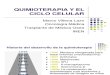 06052014 Quimoterapia y Ciclo Celular