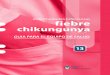Guía Equipo Fiebre Chikungunya. 2016
