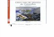 Libro Rojo de Plantas de Colombia V2