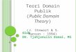 Public Domain Theory