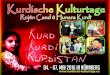VII. Kurdischen Kulturtage 2016 Nürnberg