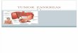 Tumor Pancreas 1