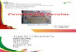 Presentación Proyecto Convivencia Escolar Mapurite (Final Office 2013-2010-2007)