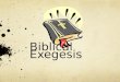 Biblical Exegesis