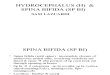 Hydrocephalus & Spina Bifida
