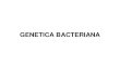 Curs 06 Genetica Bacteriana