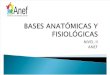 Bases Fisiologica y Anatomicas