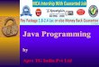 Java Programming Concepts