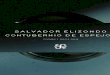 Contubernio de Espejos - Salvador Elizono