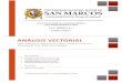 Monografía Física I - Análisis Vectorial