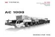TEREX AC1000 - ucm02_058250.pdf