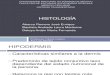 HISTOLOGIA TEGUMENTARIO.pptx