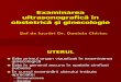 Curs-Ecografie obstetrica-ginecologie.pdf