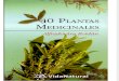 40 PLANTAS MEDICINALES