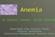 Anemia I , blok hematologi , fk umsu 2013